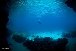 blue room curacao