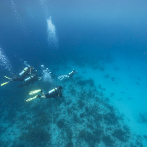 Advanced Open Water Diver Course Curacao