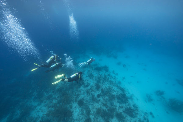 Advanced Open Water Diver Course Curacao