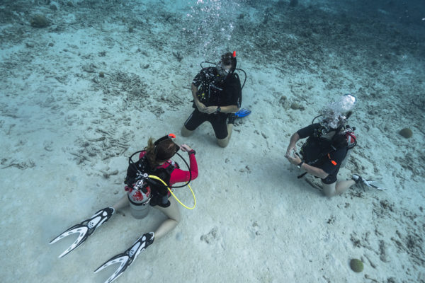 Open Water Referral on Curacao